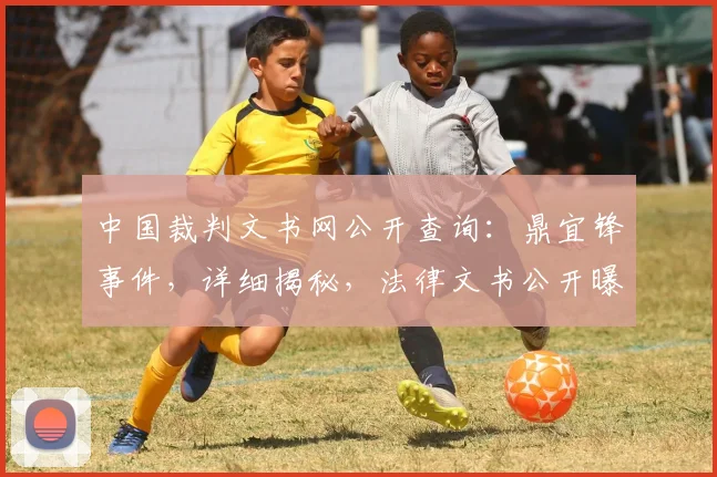 中国裁判文书网公开查询：鼎宜锋事件，详细揭秘，法律文书公开曝光三宗罪