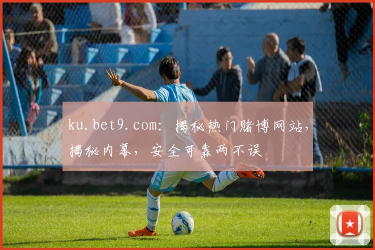 ku.bet9.com：揭秘热门赌博网站，揭秘内幕，安全可靠两不误