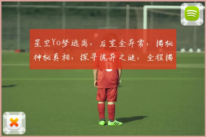 星空Yo梦逃离，后室全异常，揭秘神秘真相，探寻诡异之谜，全程揭秘